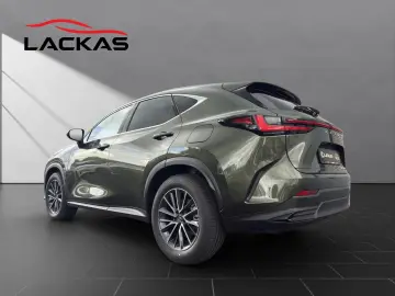 Lexus NX 350h Business Connect Paket 360CAM Sitzbelüf.