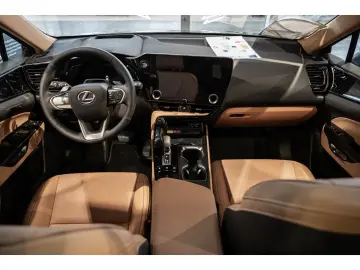 Lexus NX 450h  Advantage E-FOUR HUD El. Panodach Leder