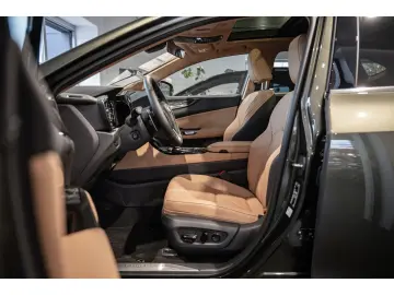 Lexus NX 450h  Advantage E-FOUR HUD El. Panodach Leder