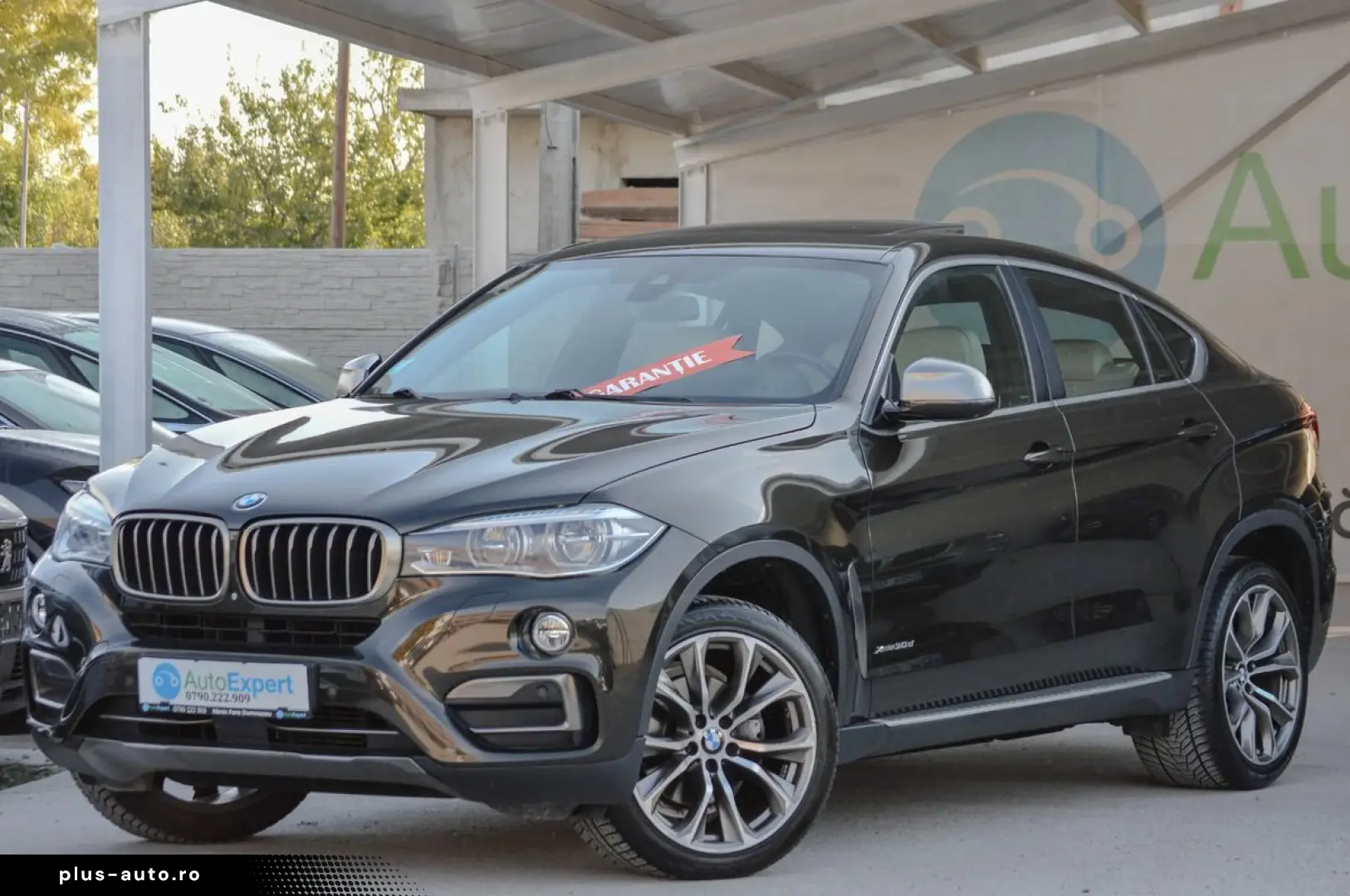 2015 BMW X6 xDrive30d 3.0 Diesel Rate Fixe   Garanție   Tran