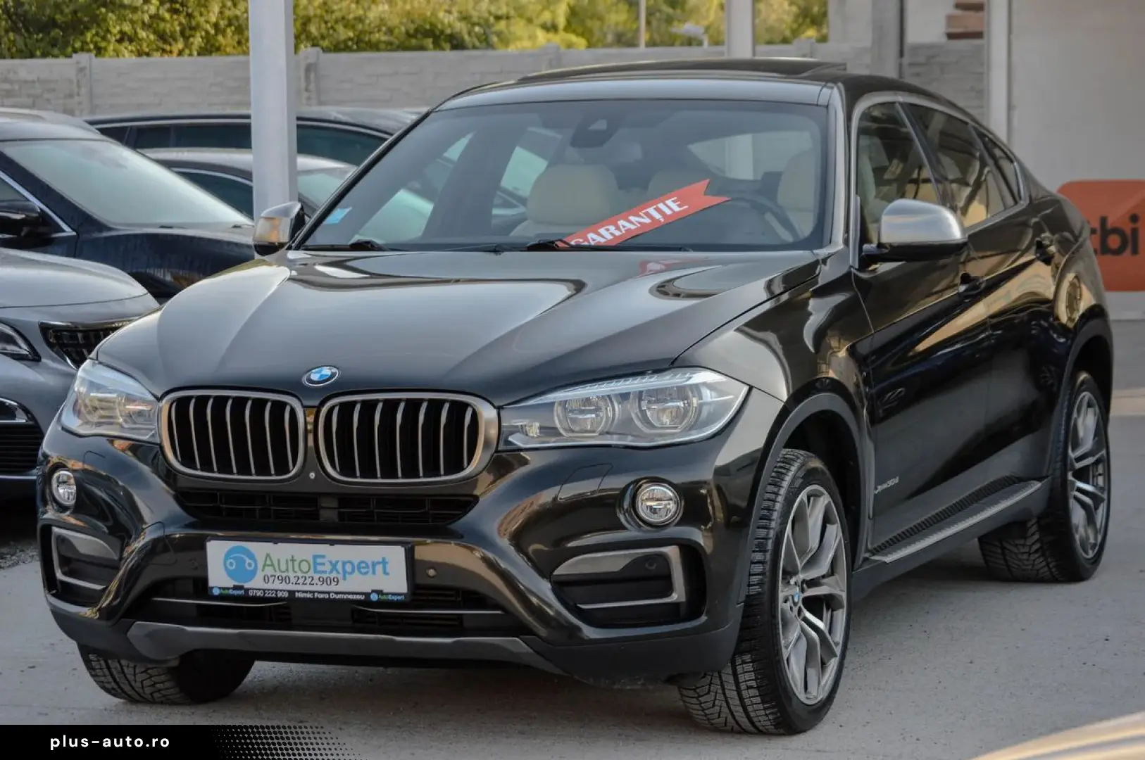 2015 BMW X6 xDrive30d 3.0 Diesel Rate Fixe   Garanție   Tran