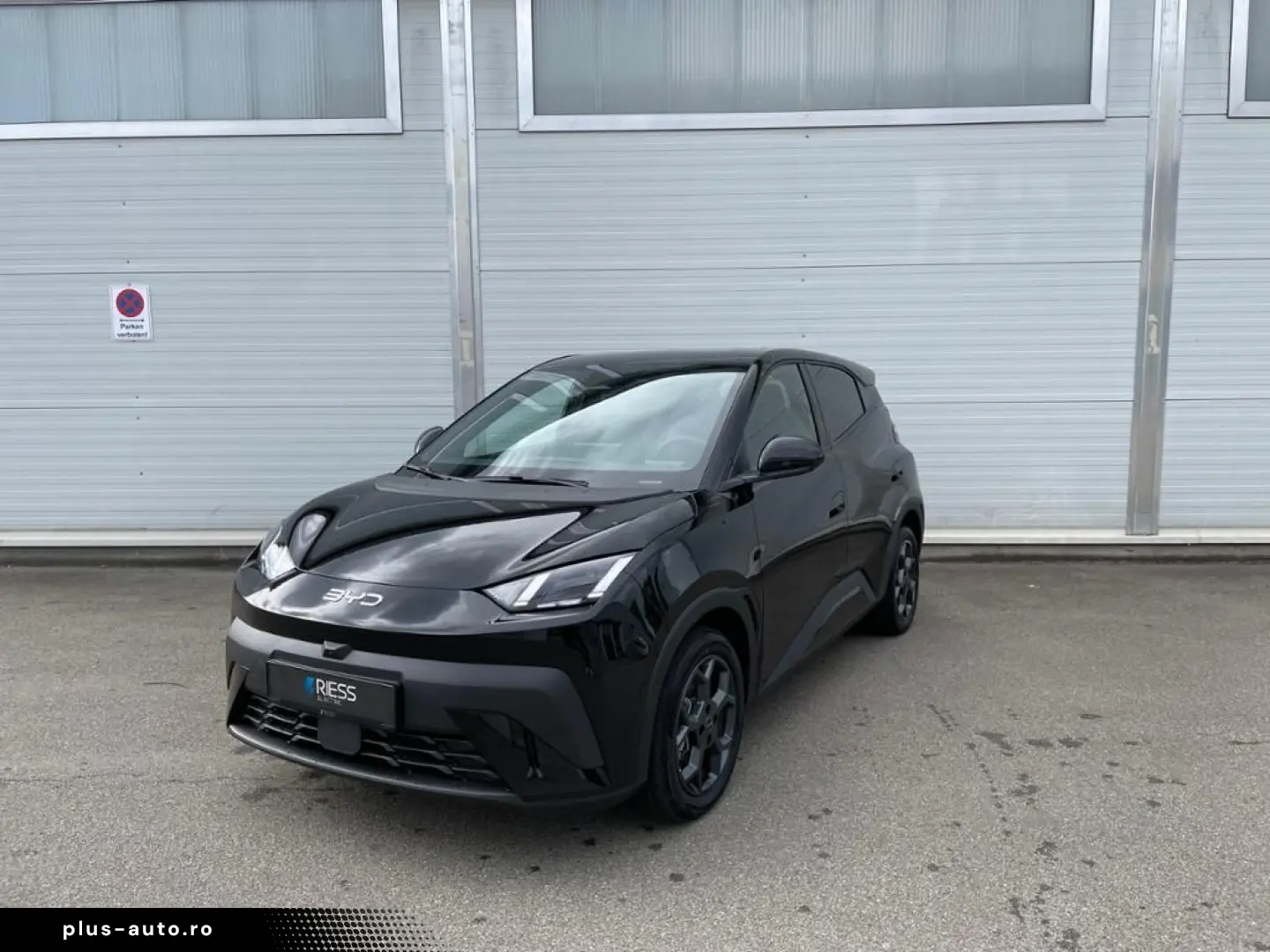 BYD Dolphin Surf Boost