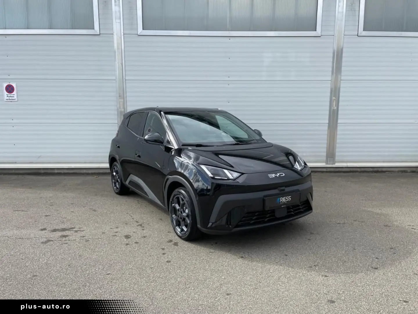 BYD Dolphin Surf Boost