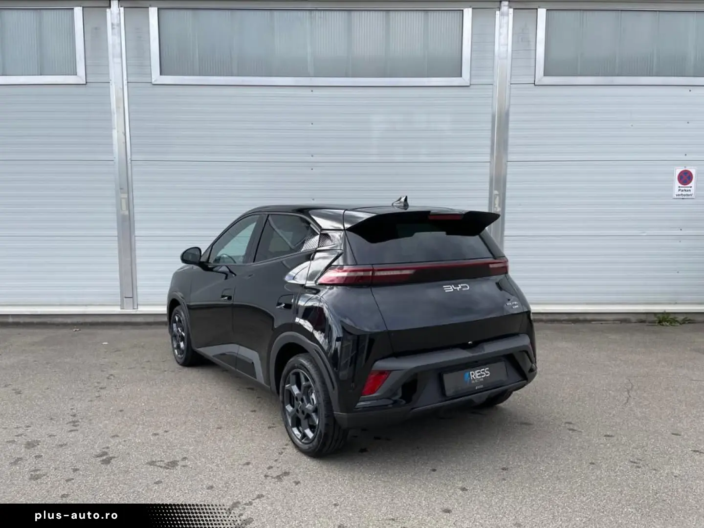 BYD Dolphin Surf Boost