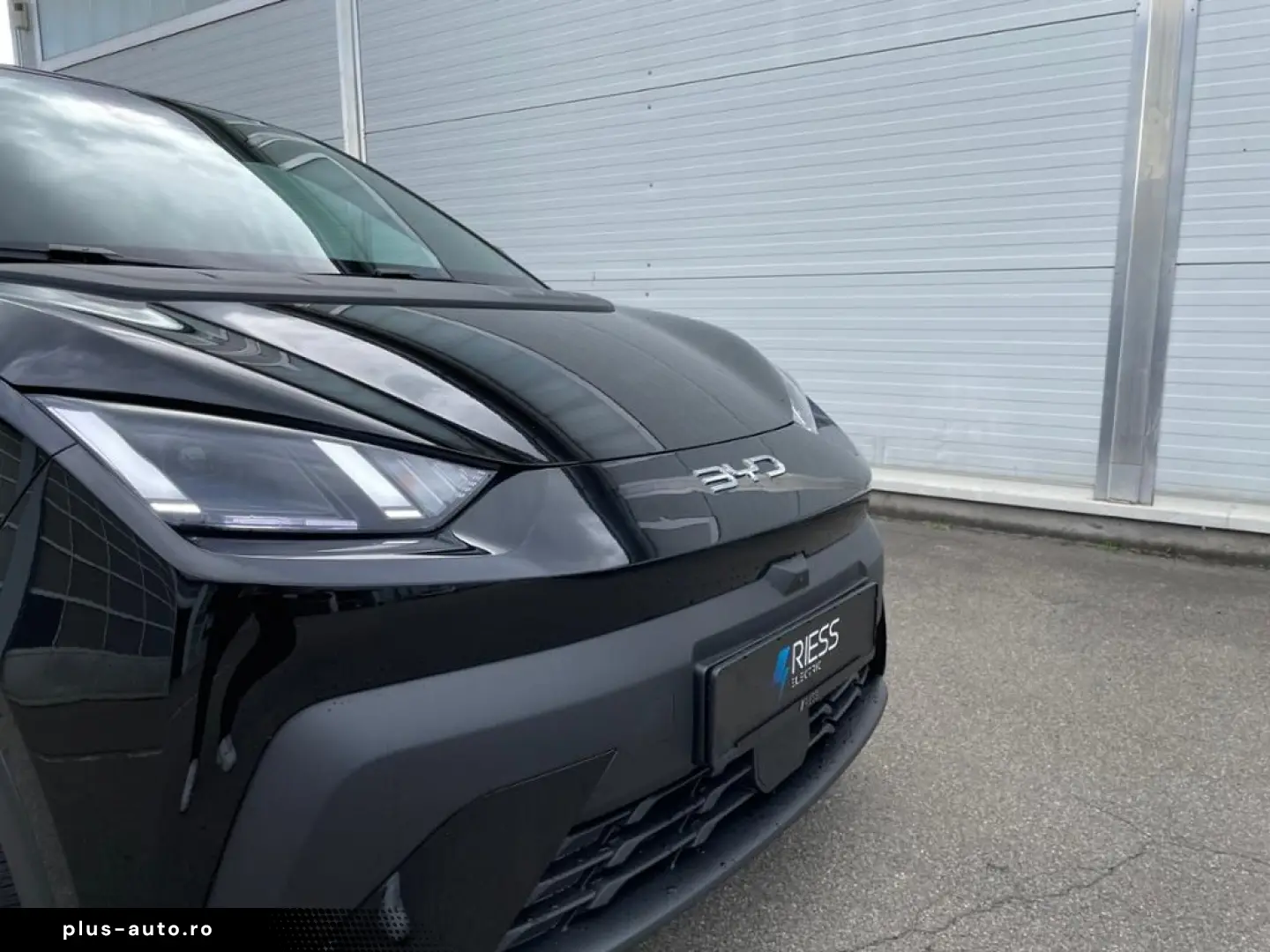BYD Dolphin Surf Boost