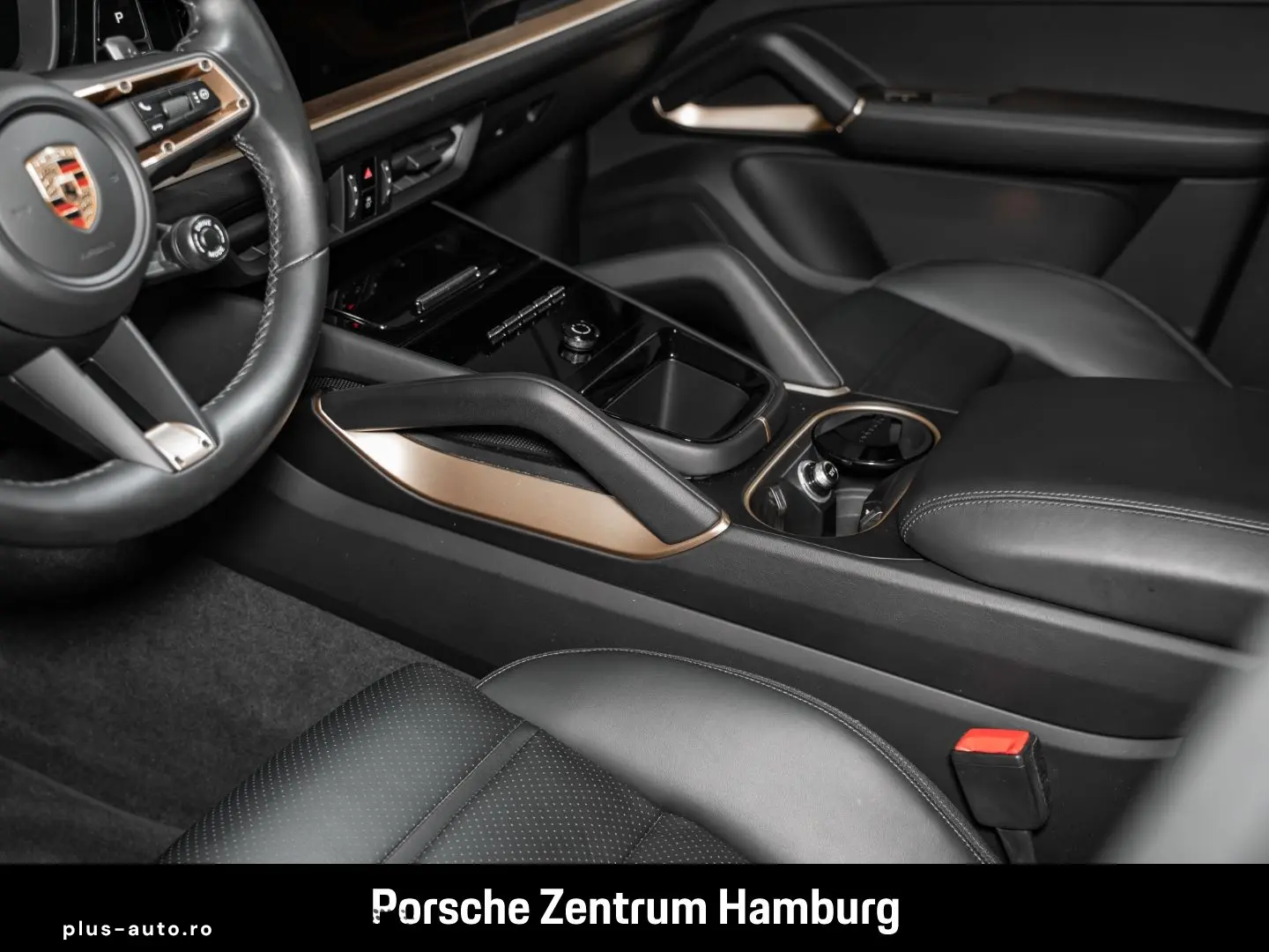 PORSCHE Cayenne E-Hybrid Pano PASM Ambiente Mem