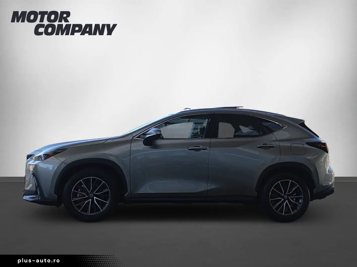 LEXUS NX   Executive Line