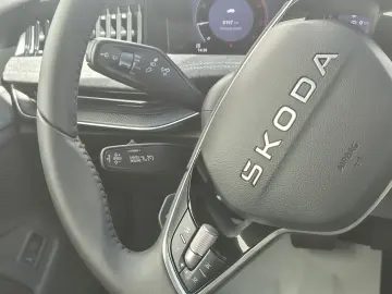 Skoda Superb Selection 2.0 TDI DSG