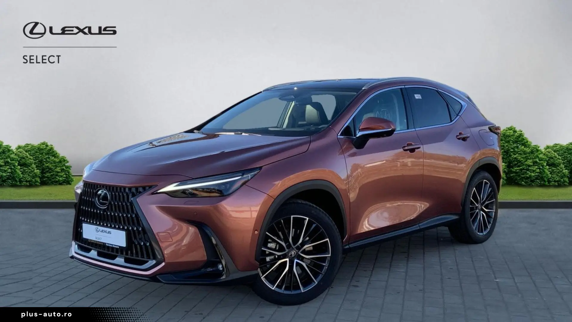 Lexus Serianx