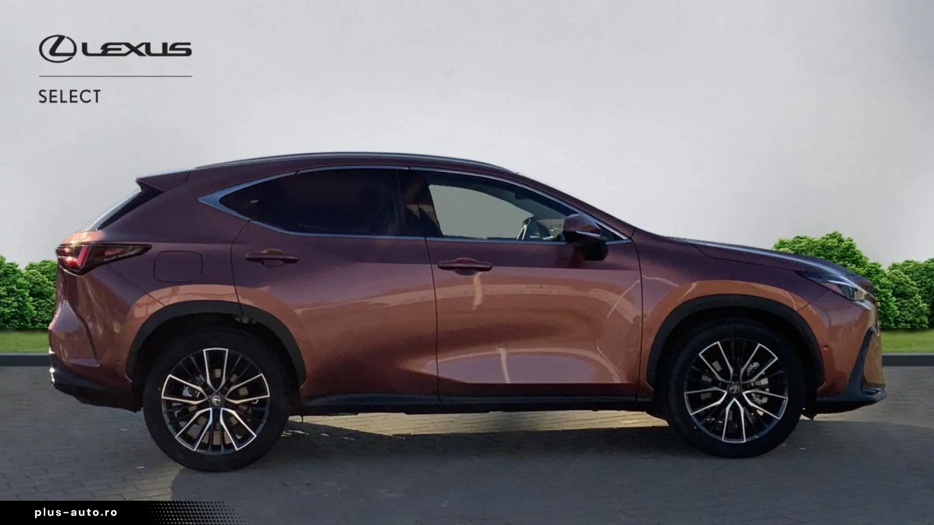 Lexus Serianx