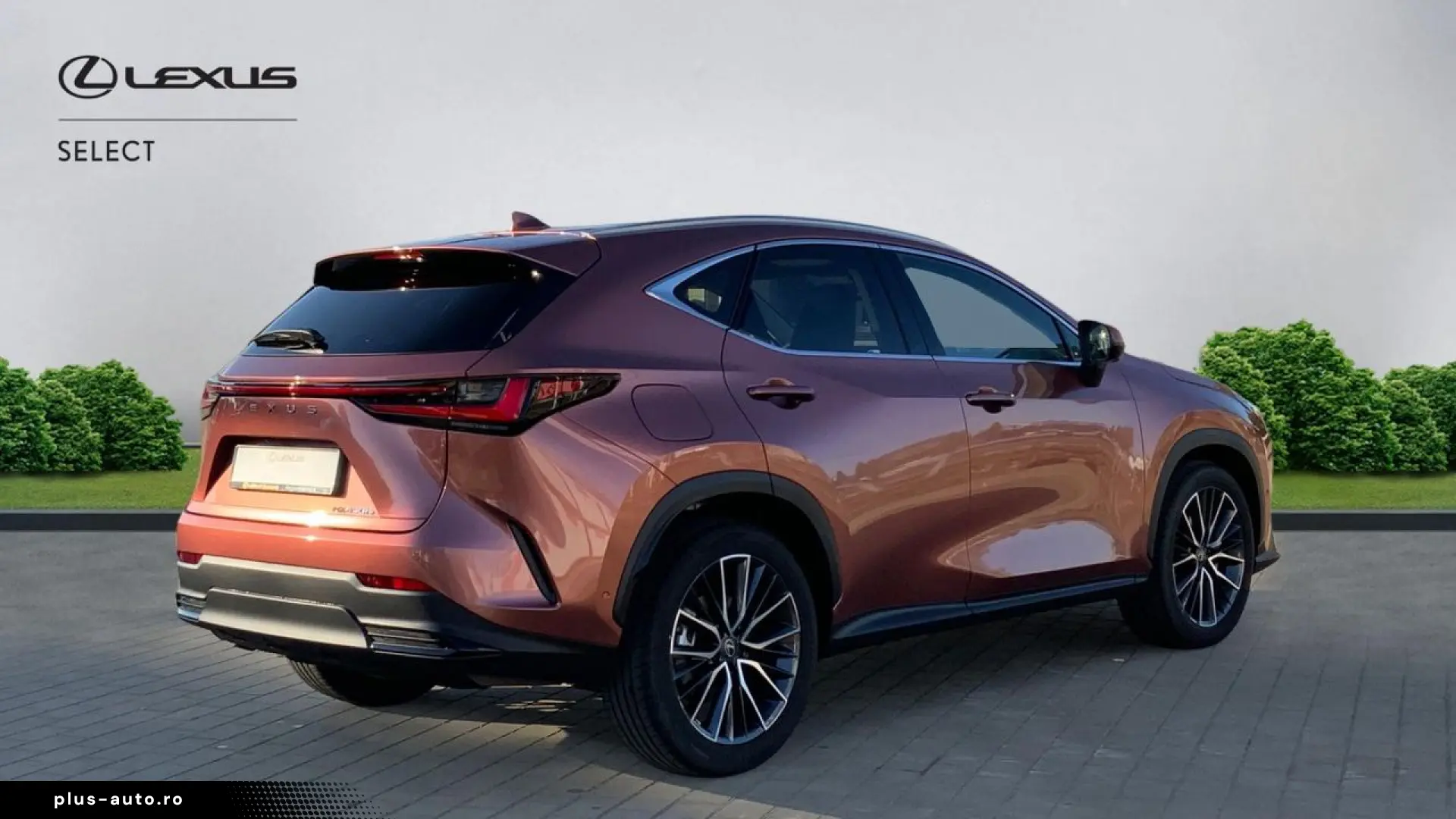 Lexus Serianx