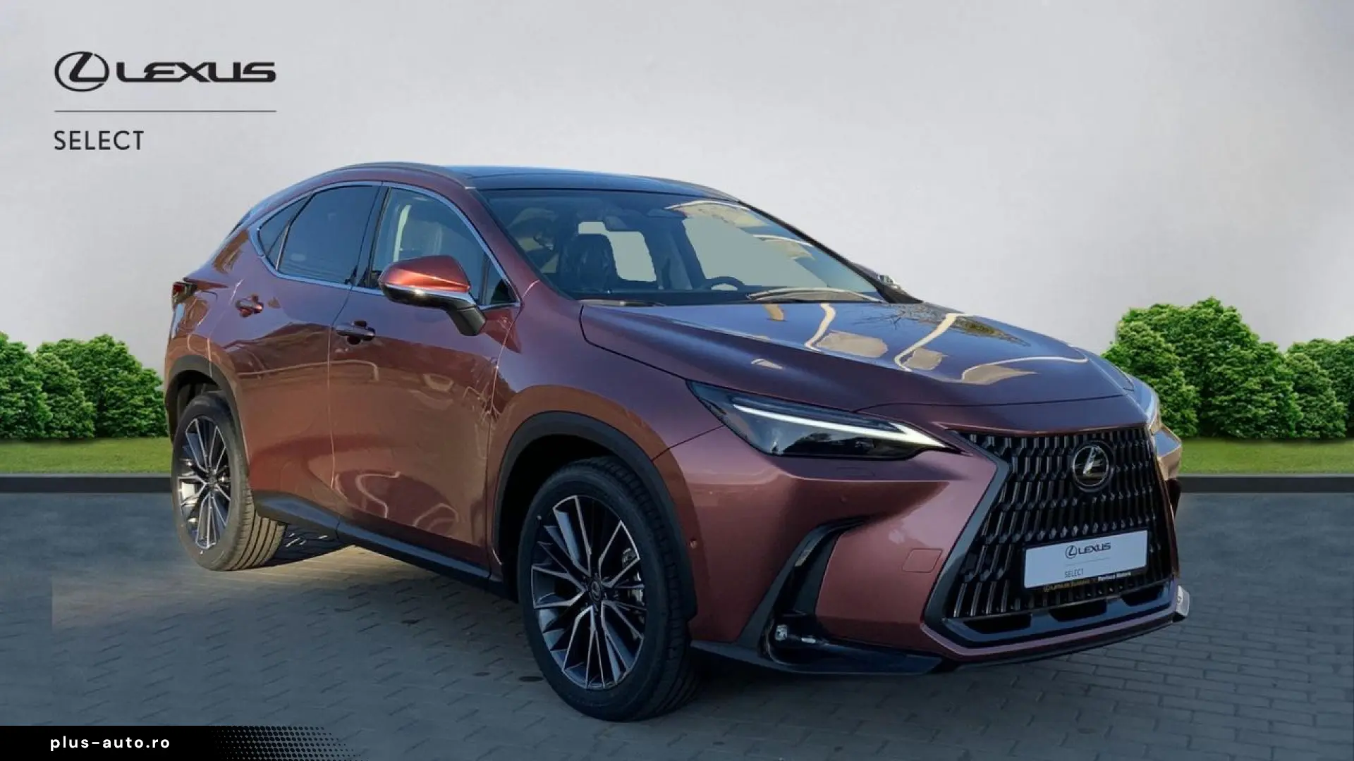 Lexus Serianx