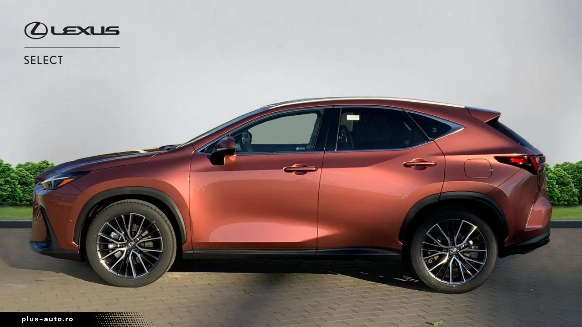 Lexus Serianx