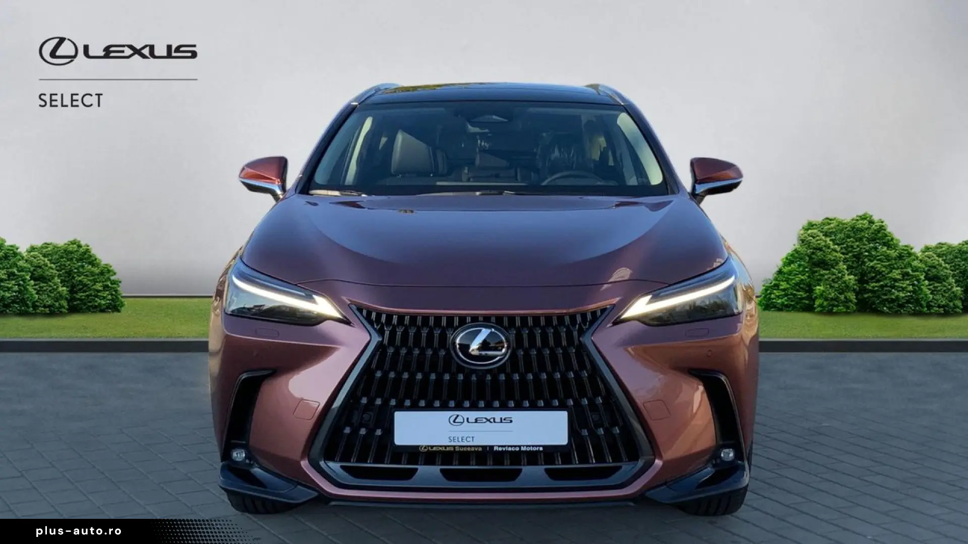 Lexus Serianx