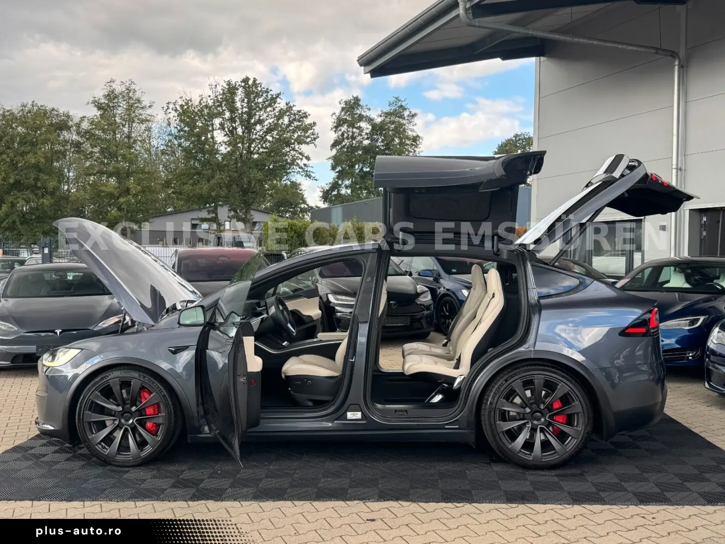 TESLA MODEL X PLAID   ENHANCED AUTOPILOT 4 AI   22INCH