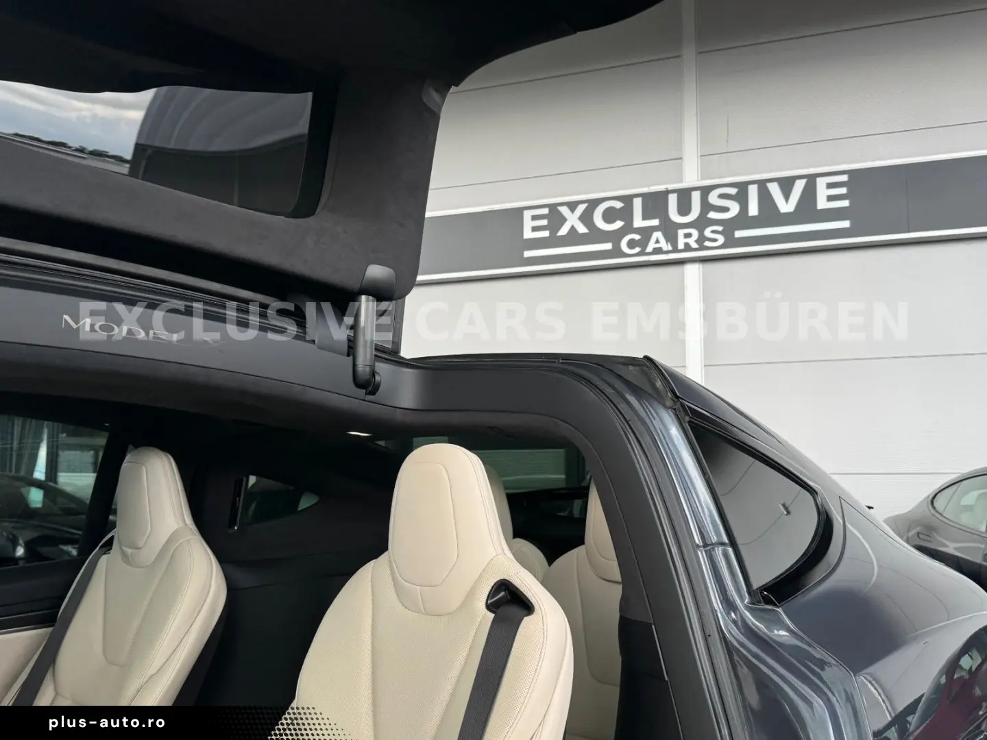 TESLA MODEL X PLAID   ENHANCED AUTOPILOT 4 AI   22INCH