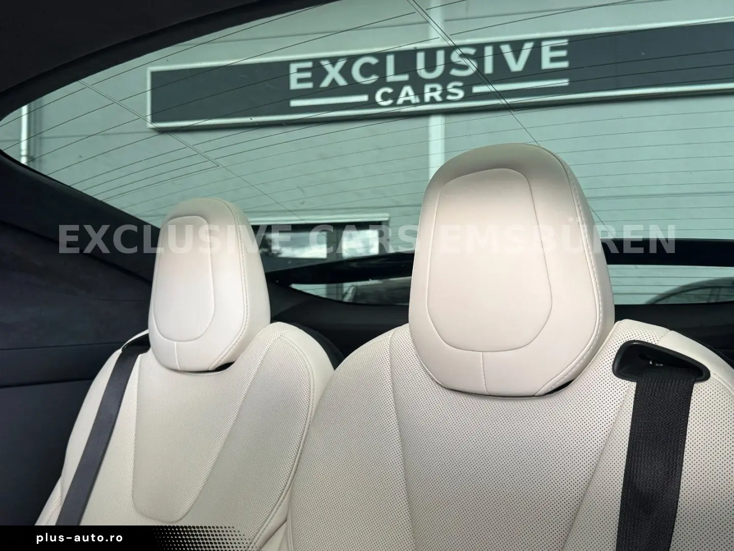 TESLA MODEL X PLAID   ENHANCED AUTOPILOT 4 AI   22INCH