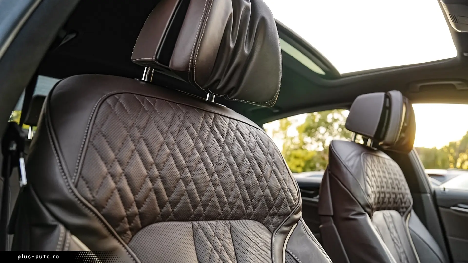 BMW Seria 5 530e Aut. Luxury Line