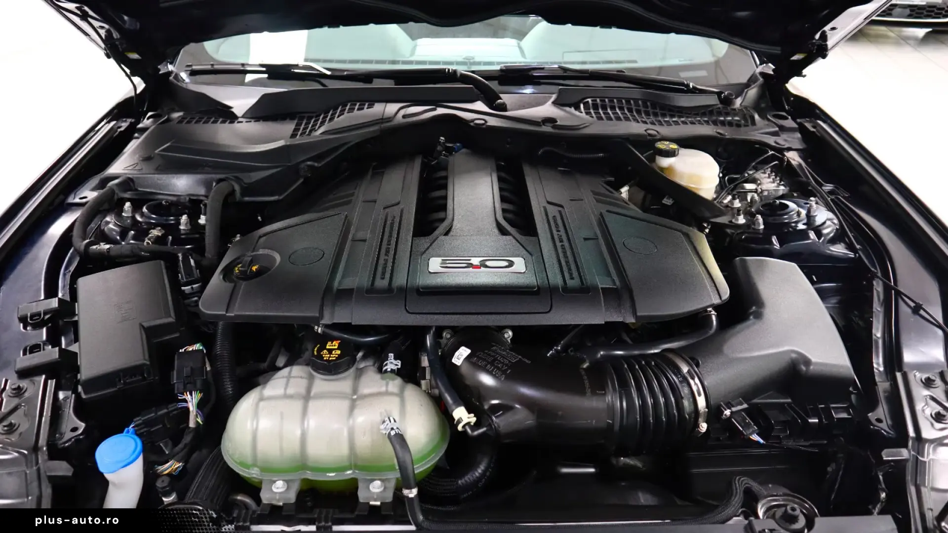Ford Mustang GT 5.0 V8   449 CP • ACTIVE EXHAUST