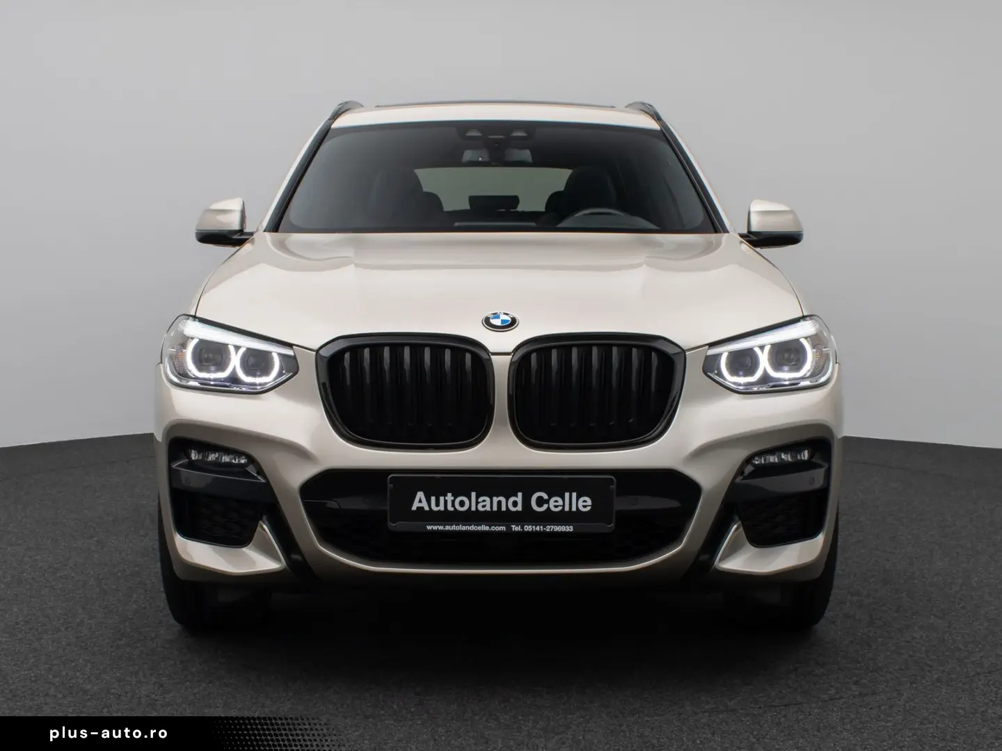 BMW X3 xD30d M Sport Panorama Kamera DAB HiFi