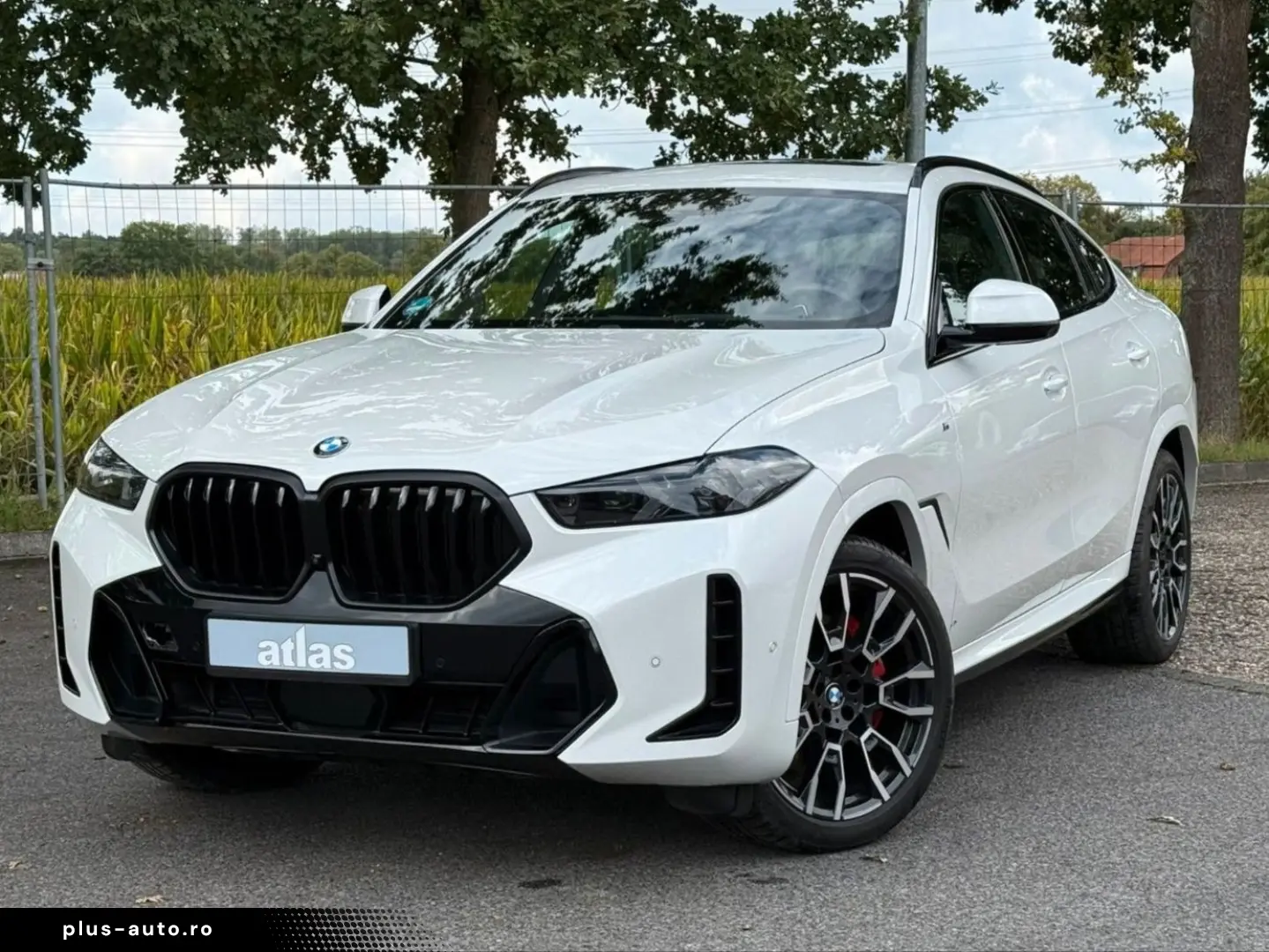 BMW X6 30d xDrive M Sport VOLL Pano Sthz Luft Mass