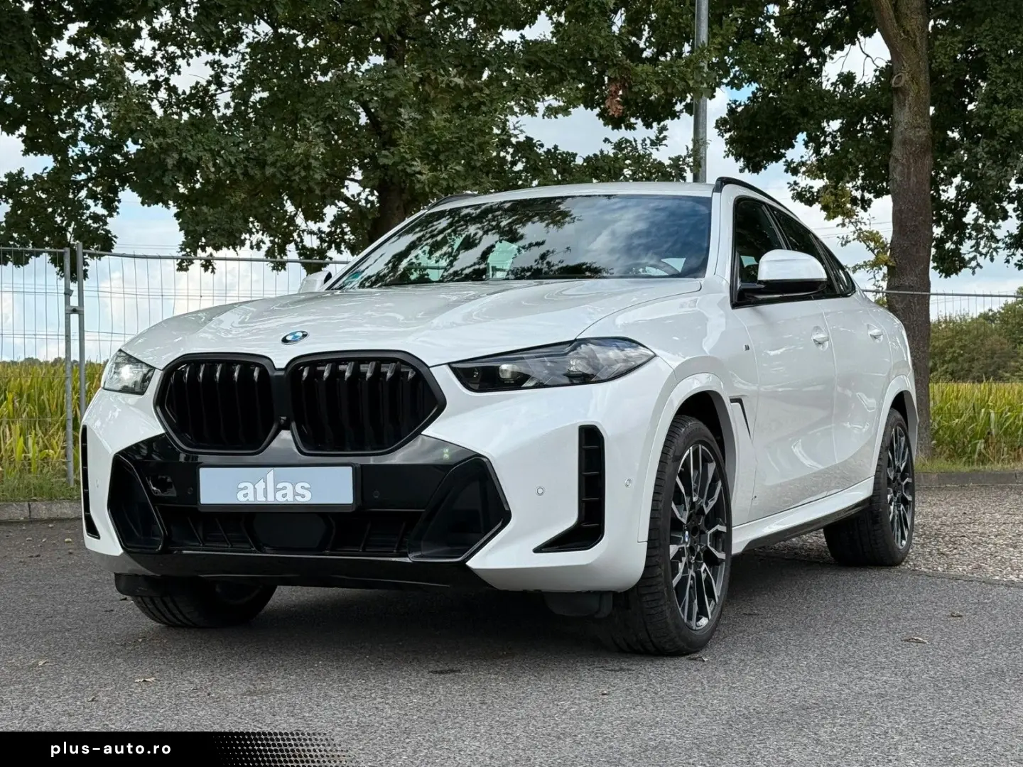 BMW X6 30d xDrive M Sport VOLL Pano Sthz Luft Mass