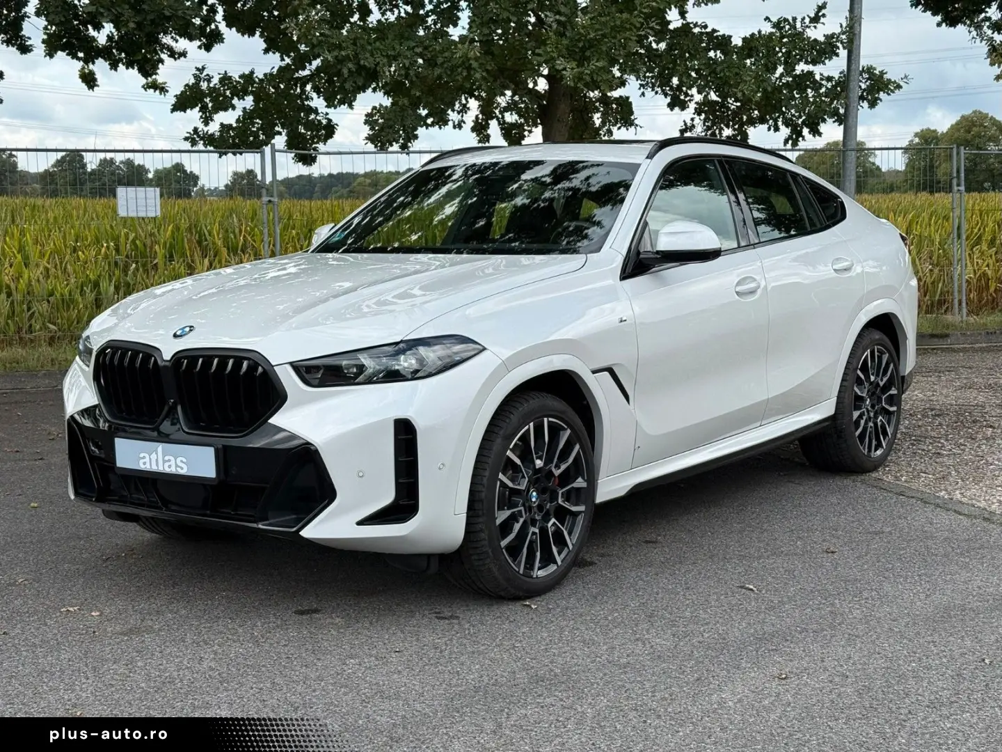 BMW X6 30d xDrive M Sport VOLL Pano Sthz Luft Mass