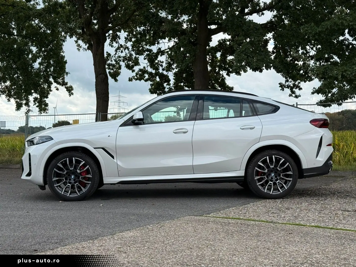 BMW X6 30d xDrive M Sport VOLL Pano Sthz Luft Mass