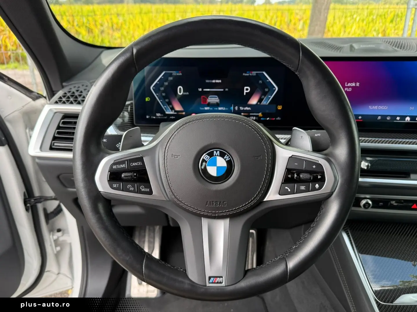 BMW X6 30d xDrive M Sport VOLL Pano Sthz Luft Mass