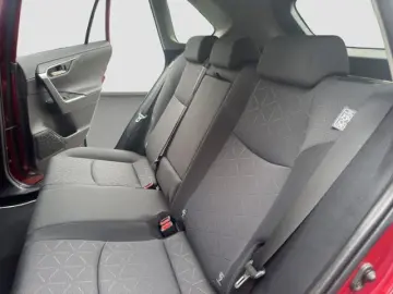 TOYOTA RAV4 Hybrid 4x4 Team Deutschland
