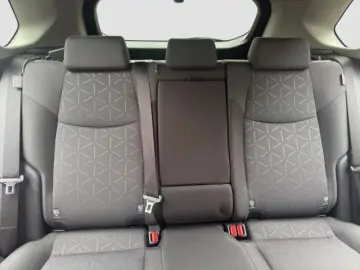 TOYOTA RAV4 Hybrid 4x4 Team Deutschland