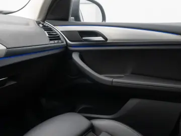 BMW X3 xD30i  DAB Kamera HiFi AHK Panorama Laser 19