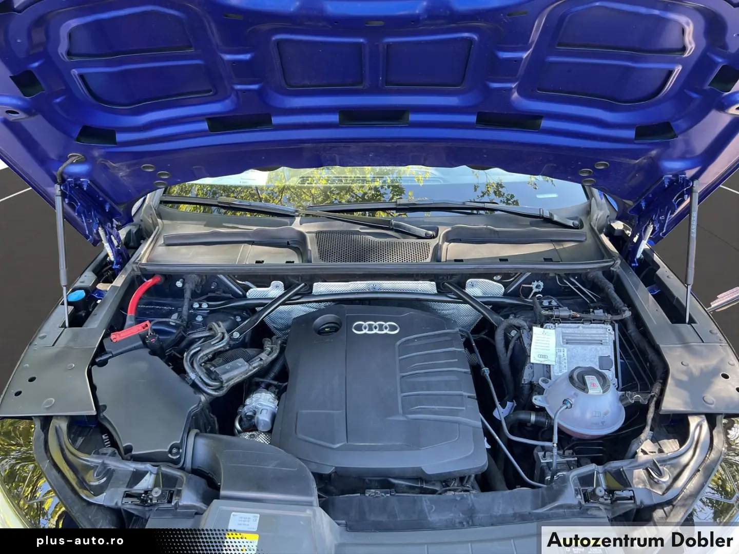 AUDI Q5 Sportback S line 40 TDI quattro  S Navi