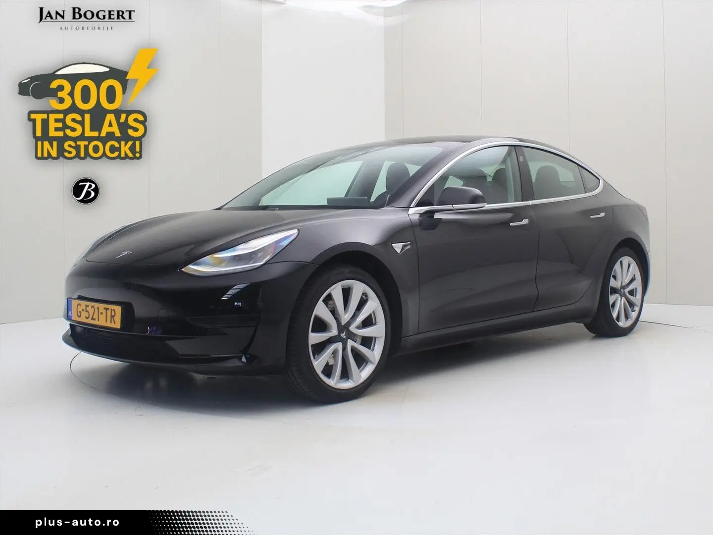 TESLA Model 3 Standard RWD Plus 85.3%