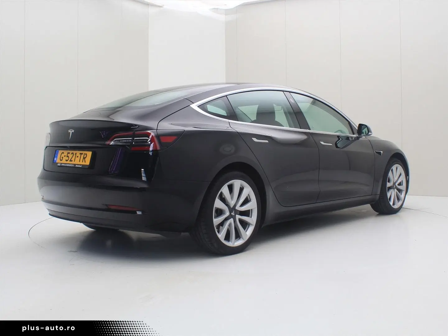 TESLA Model 3 Standard RWD Plus 85.3%