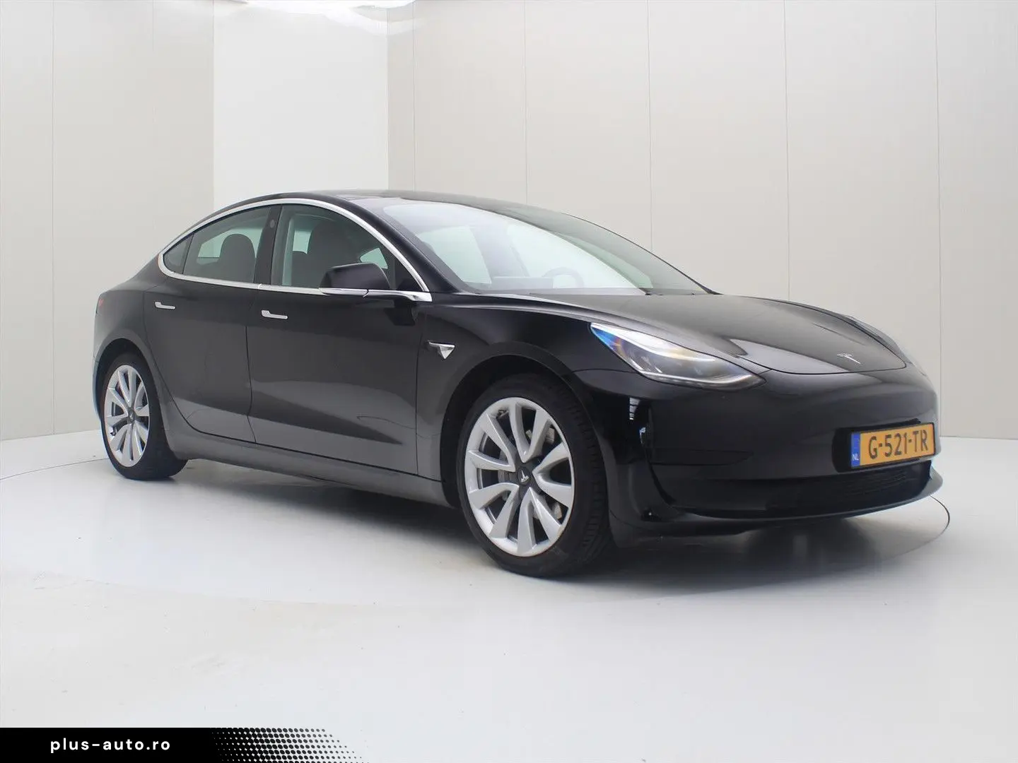 TESLA Model 3 Standard RWD Plus 85.3%