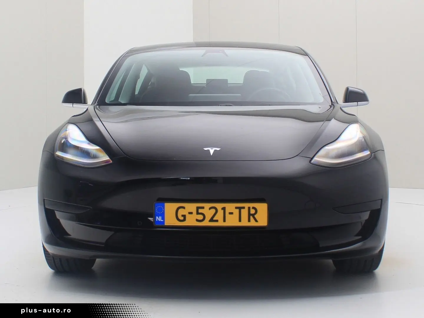 TESLA Model 3 Standard RWD Plus 85.3%