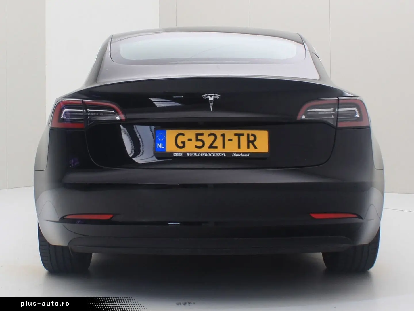 TESLA Model 3 Standard RWD Plus 85.3%