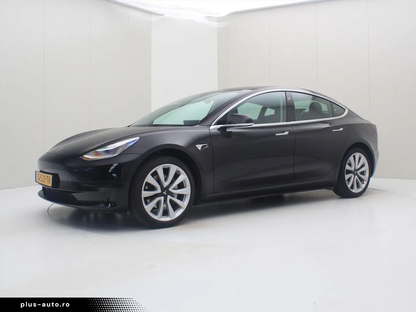 TESLA Model 3 Standard RWD Plus 85.3%