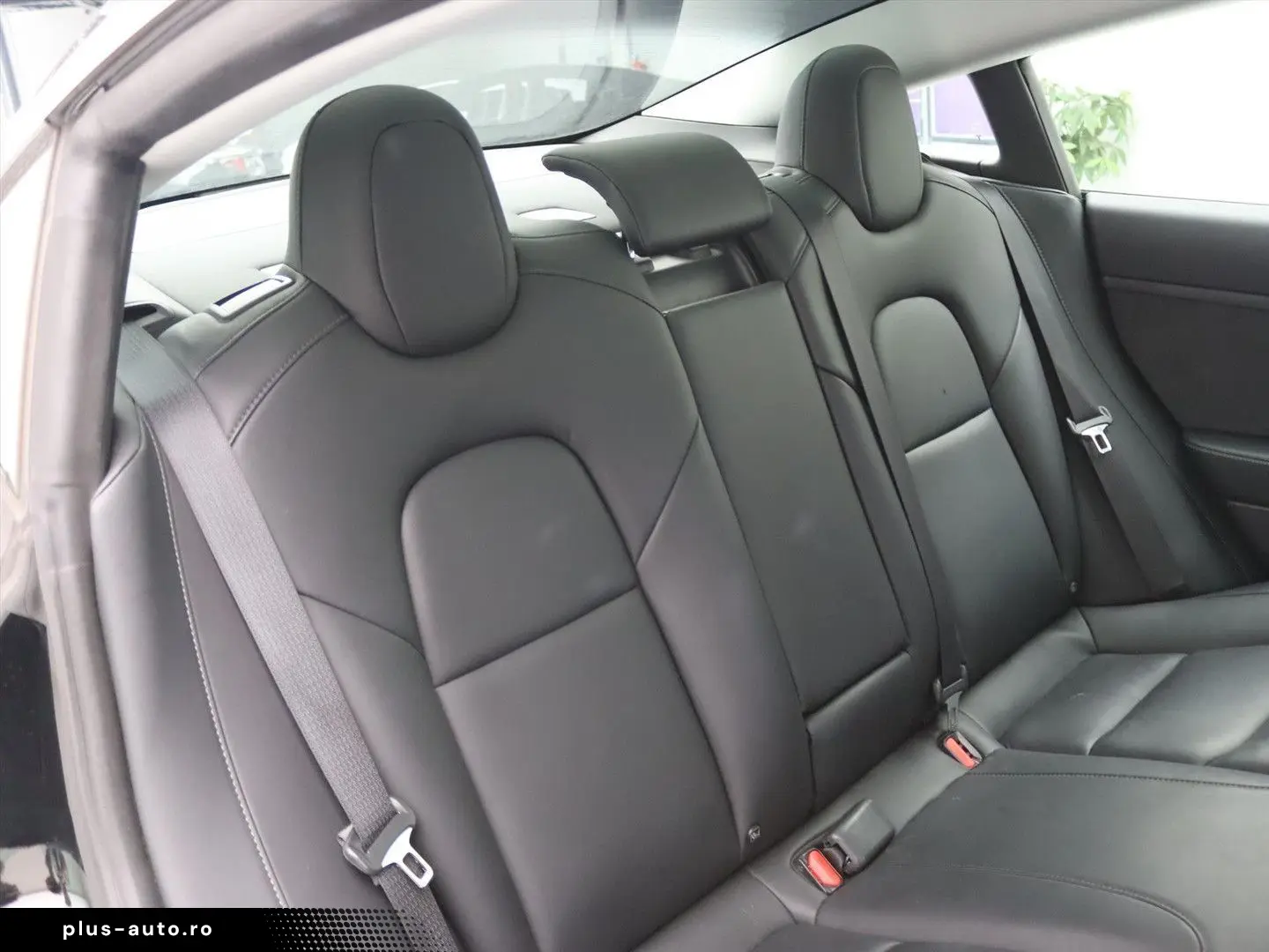 TESLA Model 3 Standard RWD Plus 85.3%