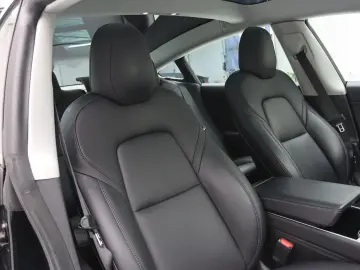 TESLA Model 3 Standard RWD Plus 85.3%