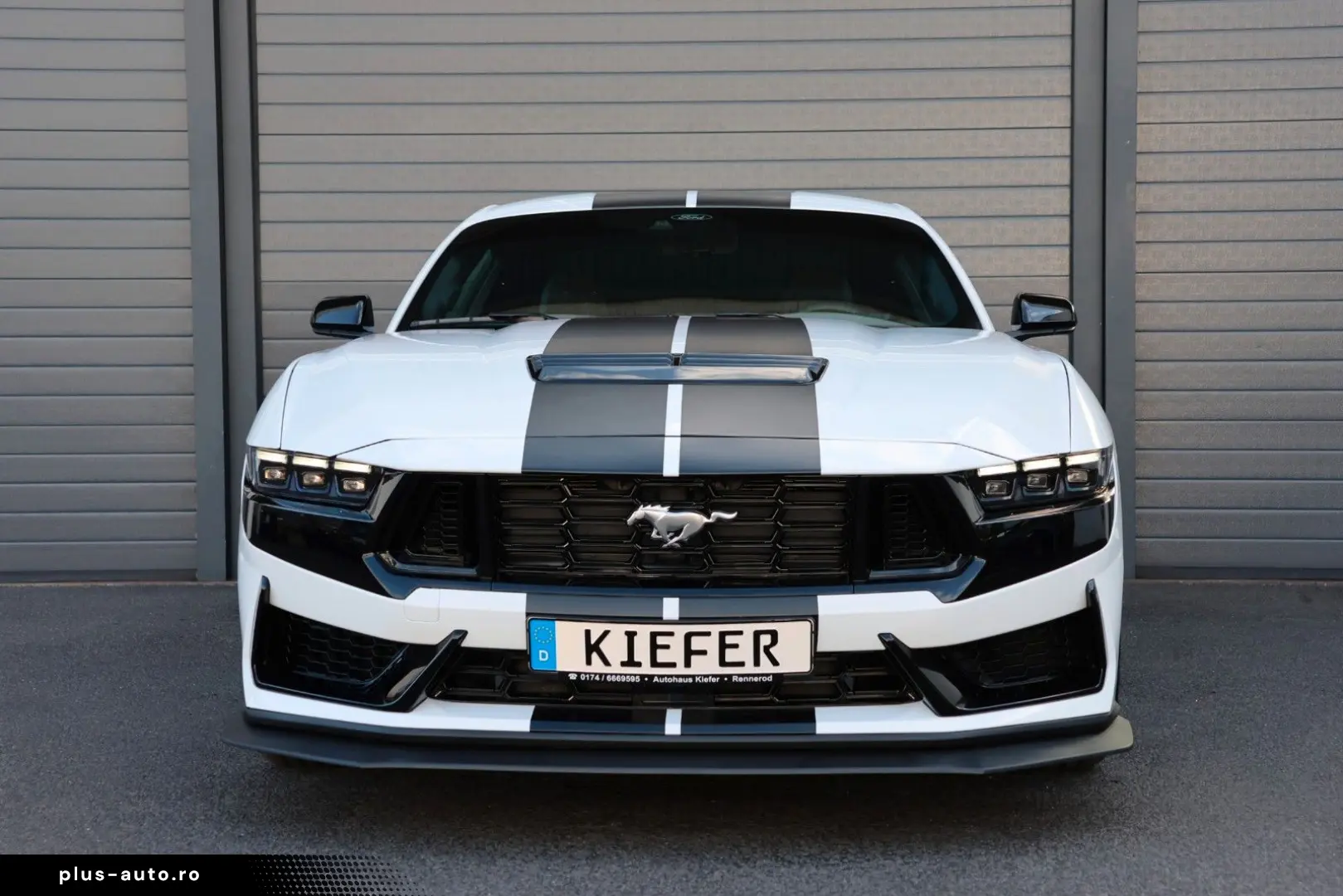 FORD Mustang 2.3 DARK HORSE SHZ KAMERA TOTW SPUR R20