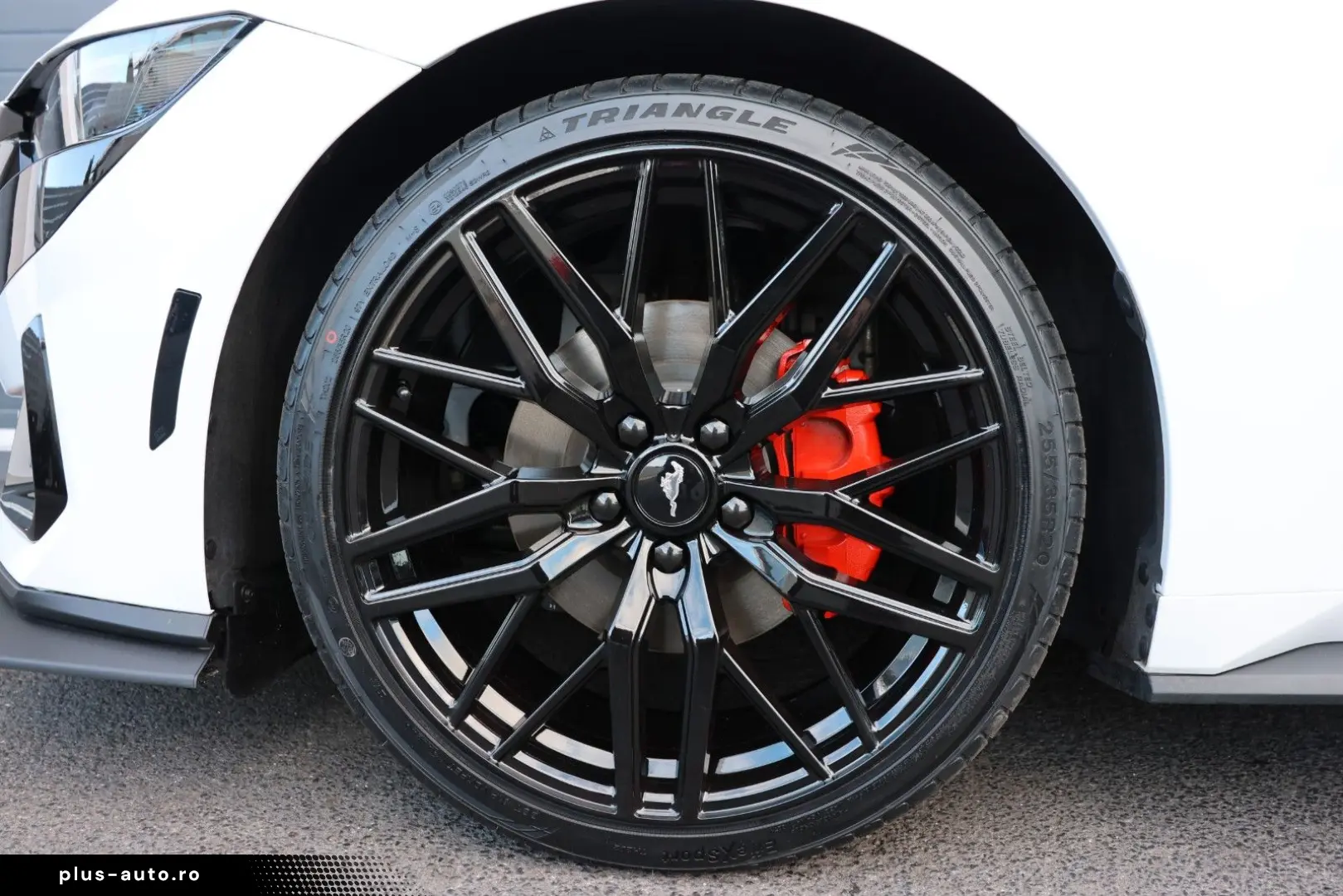 FORD Mustang 2.3 DARK HORSE SHZ KAMERA TOTW SPUR R20