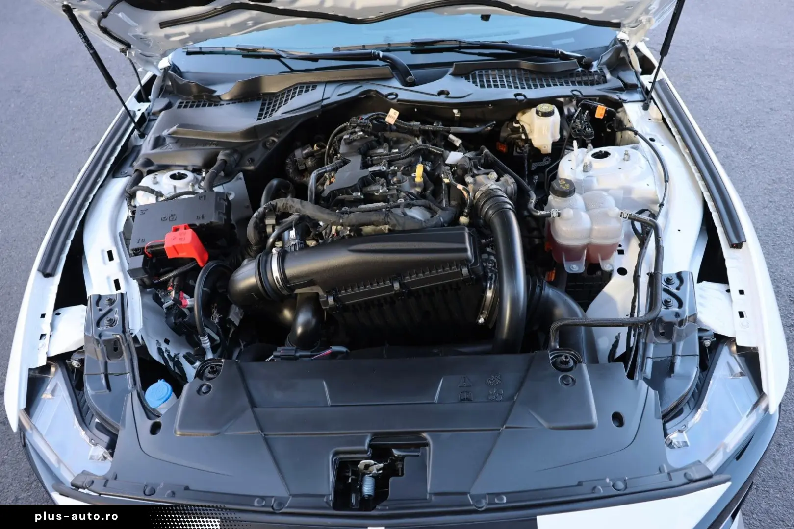 FORD Mustang 2.3 DARK HORSE SHZ KAMERA TOTW SPUR R20
