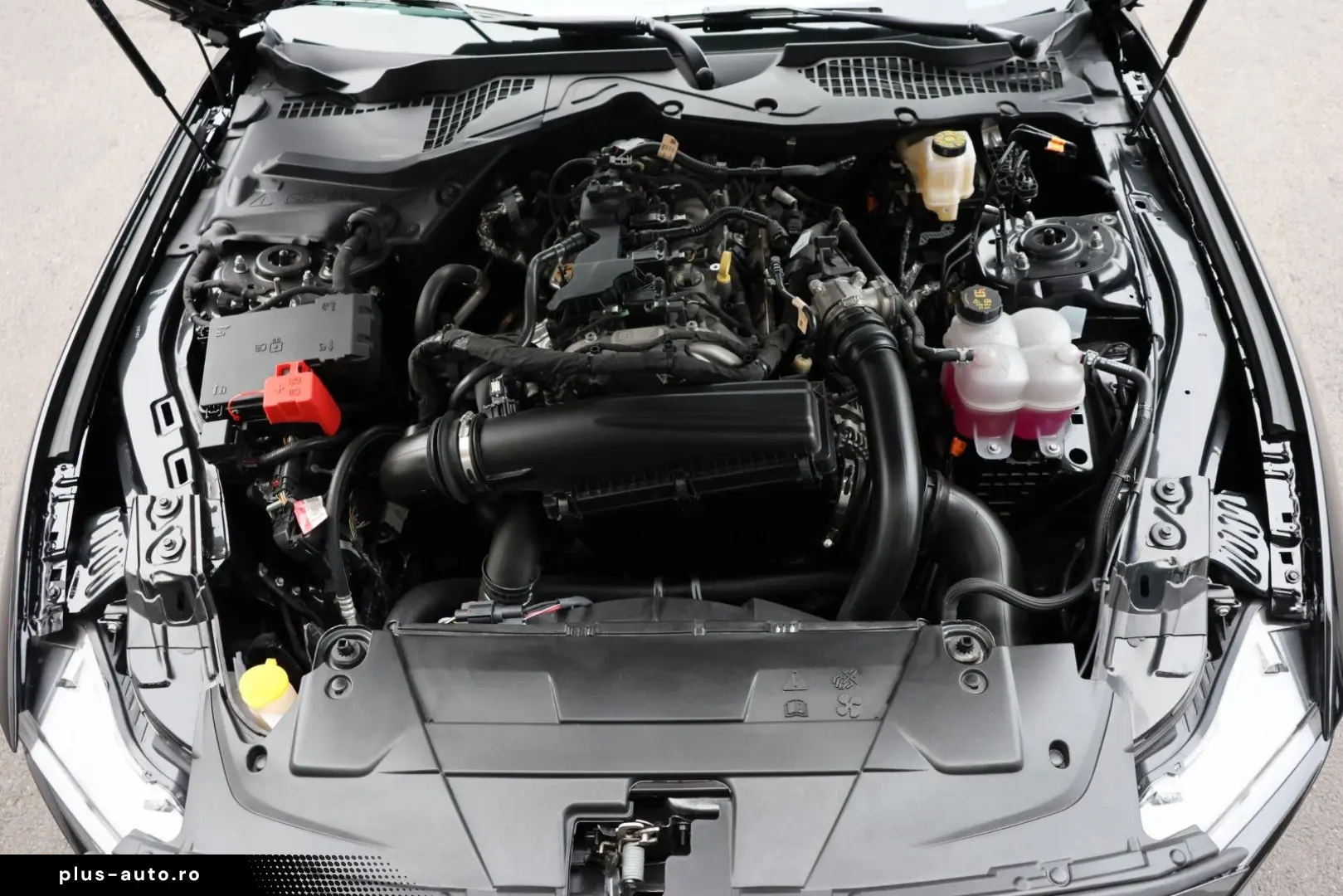 FORD Mustang 2.3 DARK HORSE SHZ KAMERA TOTW SPUR R20