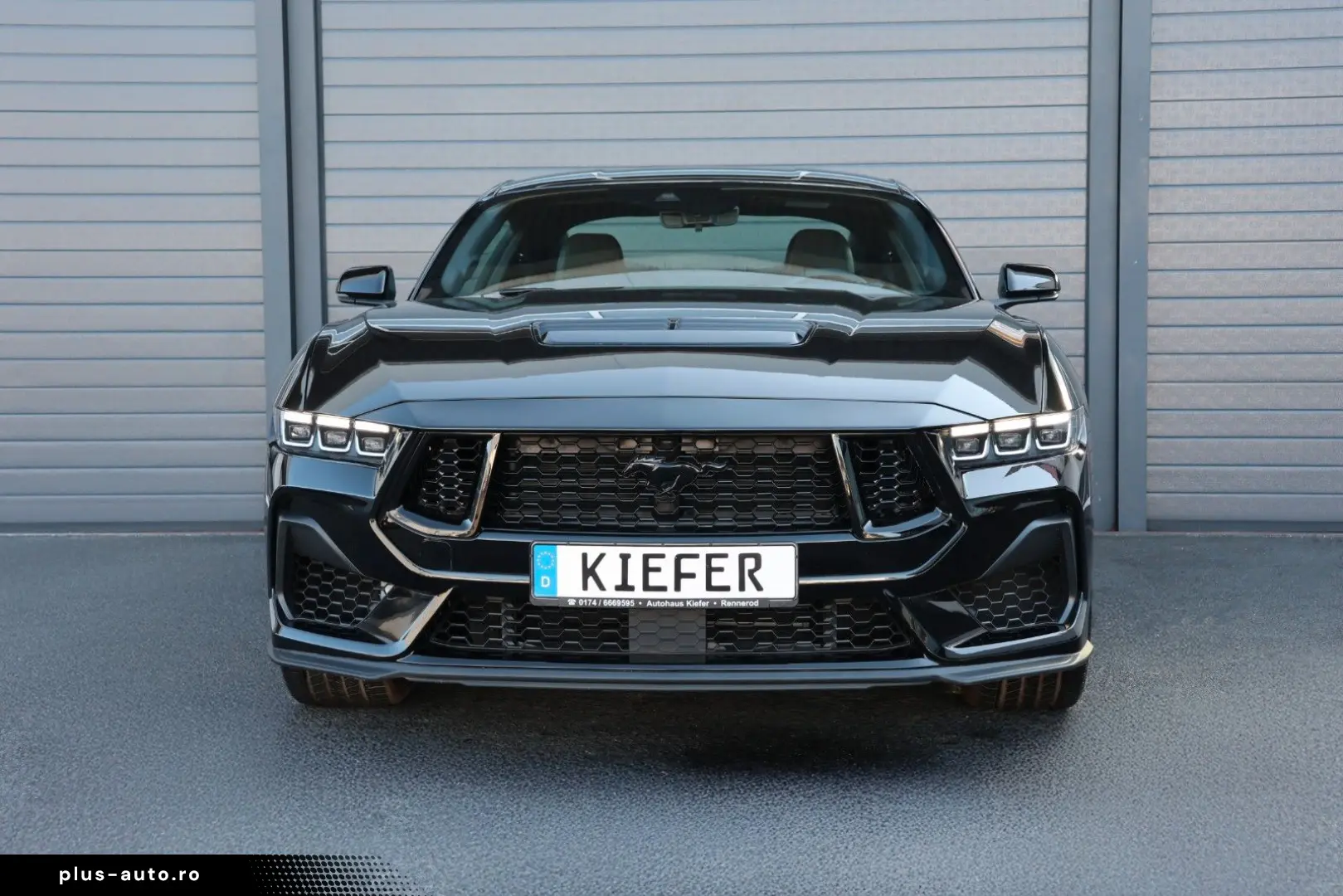 FORD Mustang 2.3 SHZ CarPlay KAMERA TOTW SPUR R19