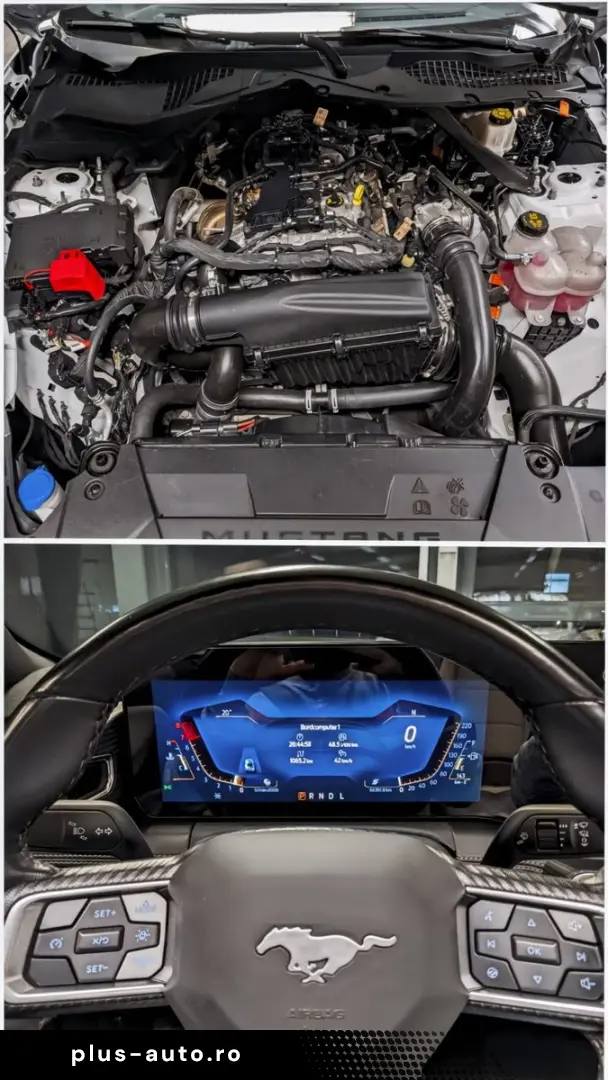 FORD Mustang Dark Horse S650 Look Tüv Neu 1.Hand