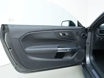FORD Mustang 2.3 ECOBOOST LED SITZBEL CARPLAY KAMERA