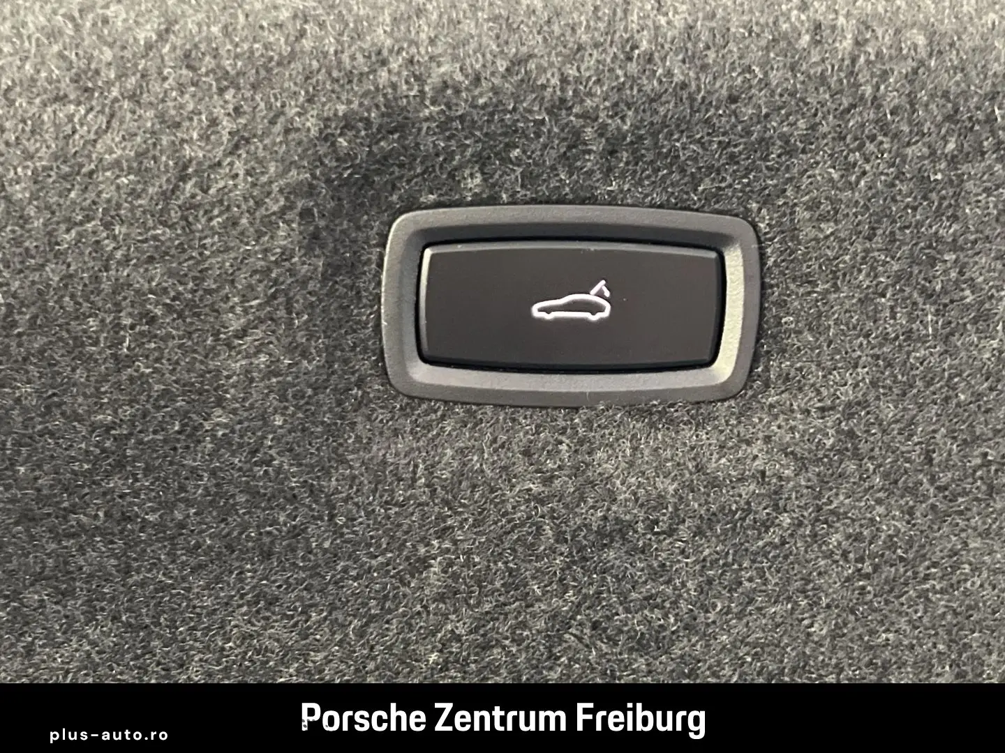 PORSCHE Taycan 4 Surround-View BOSE 21-Zoll Panoramadach