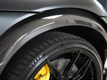 FERRARI Purosangue FULL CARBON PASSENGER DISPL PPF